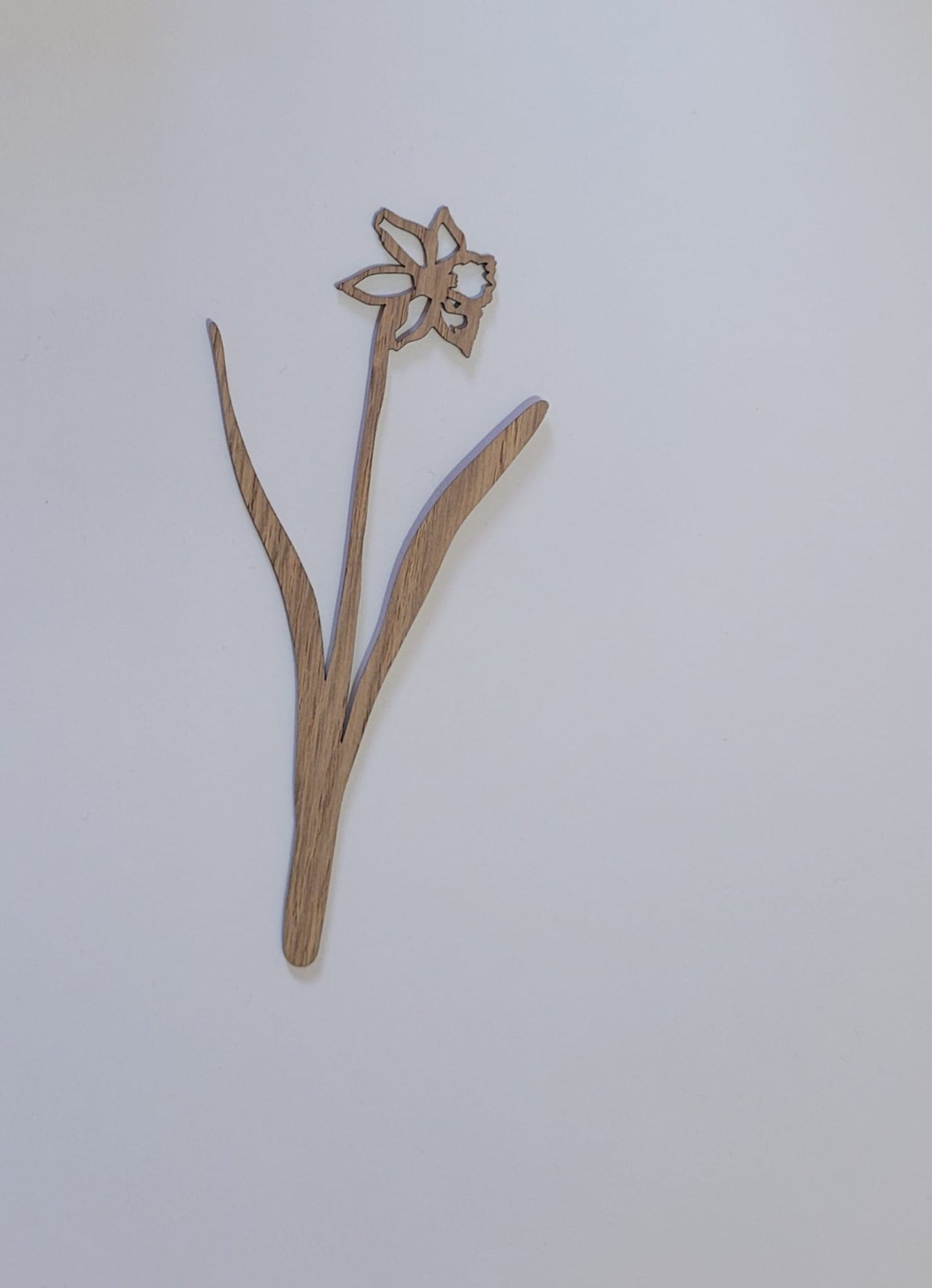 Geboortebloem - Maart (Narcis)