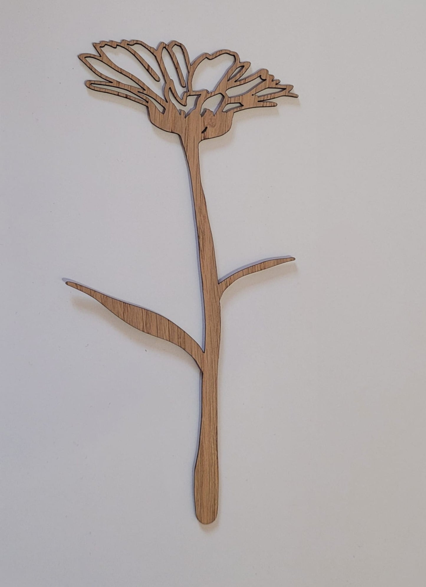 Geboortebloem - Oktober (Goudsbloem)