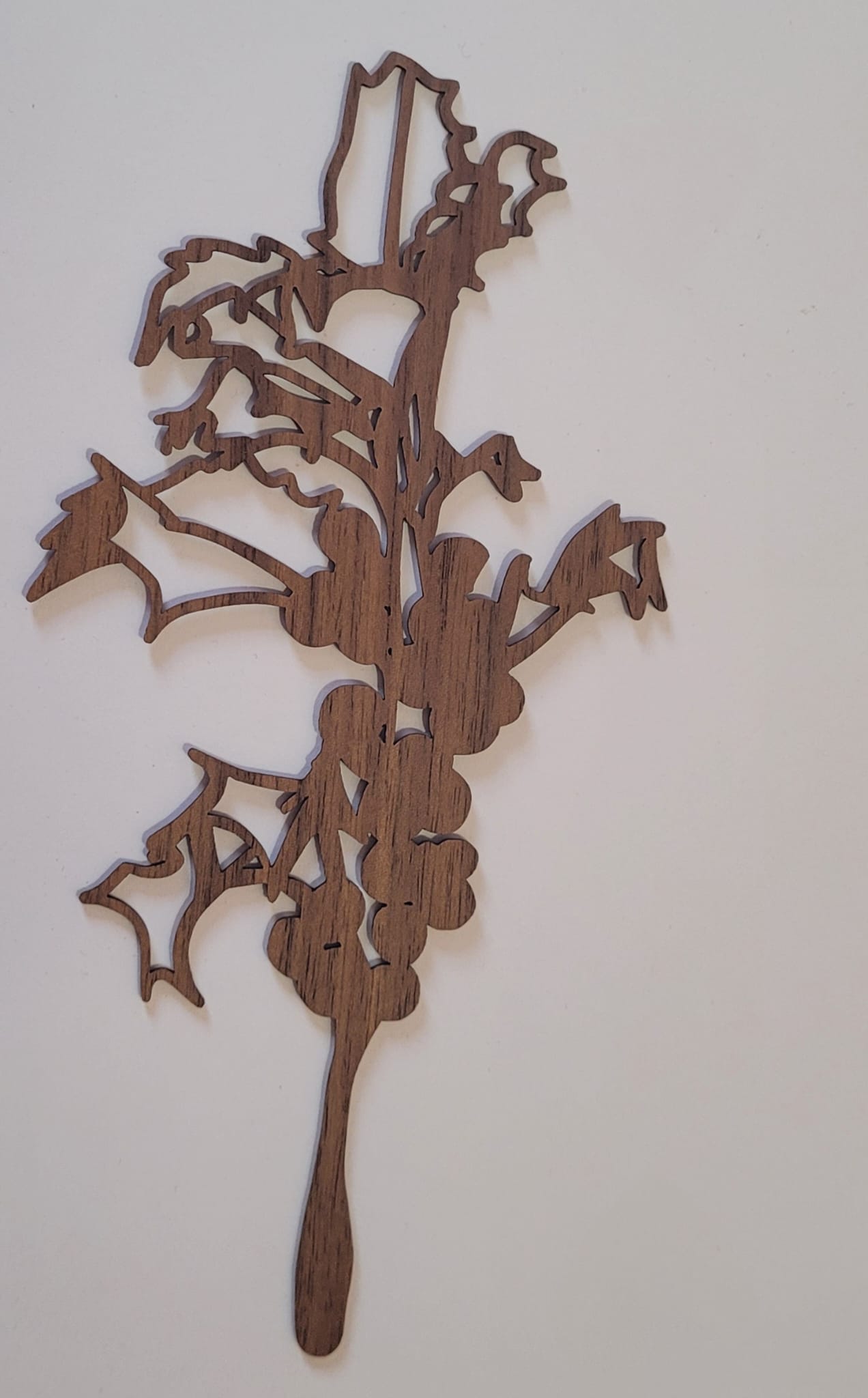 Geboortebloem - December (Hulst)