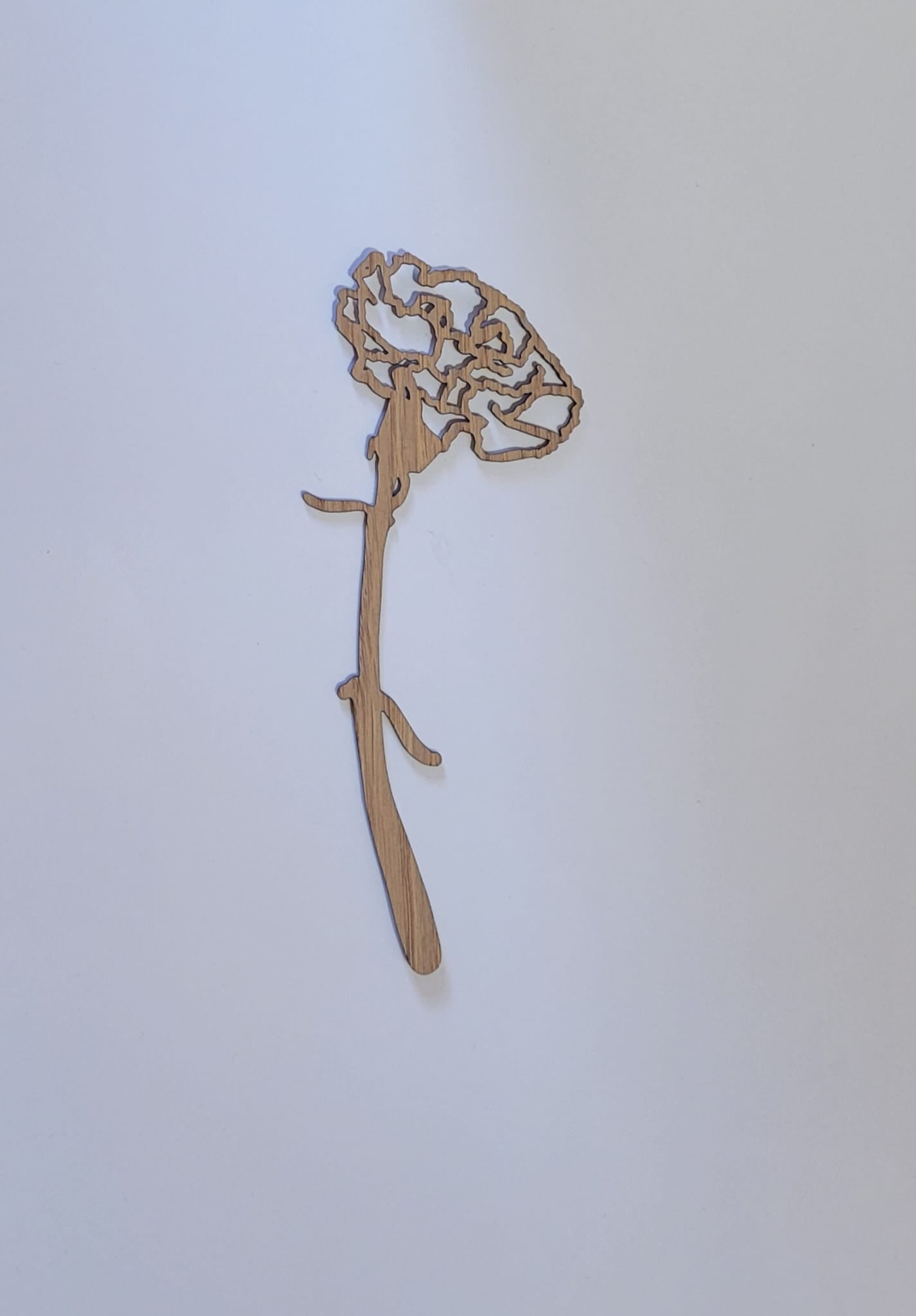 Geboortebloem - Januari (Anjer)