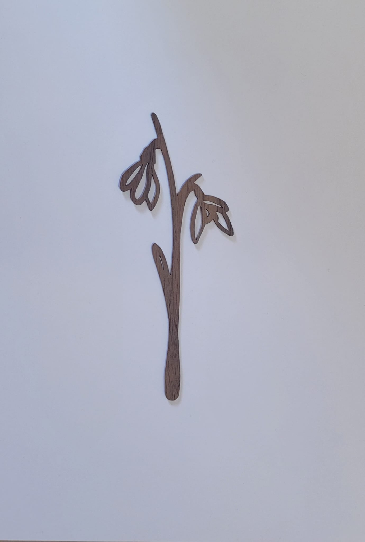 Geboortebloem - Januari (Sneeuwklokje)