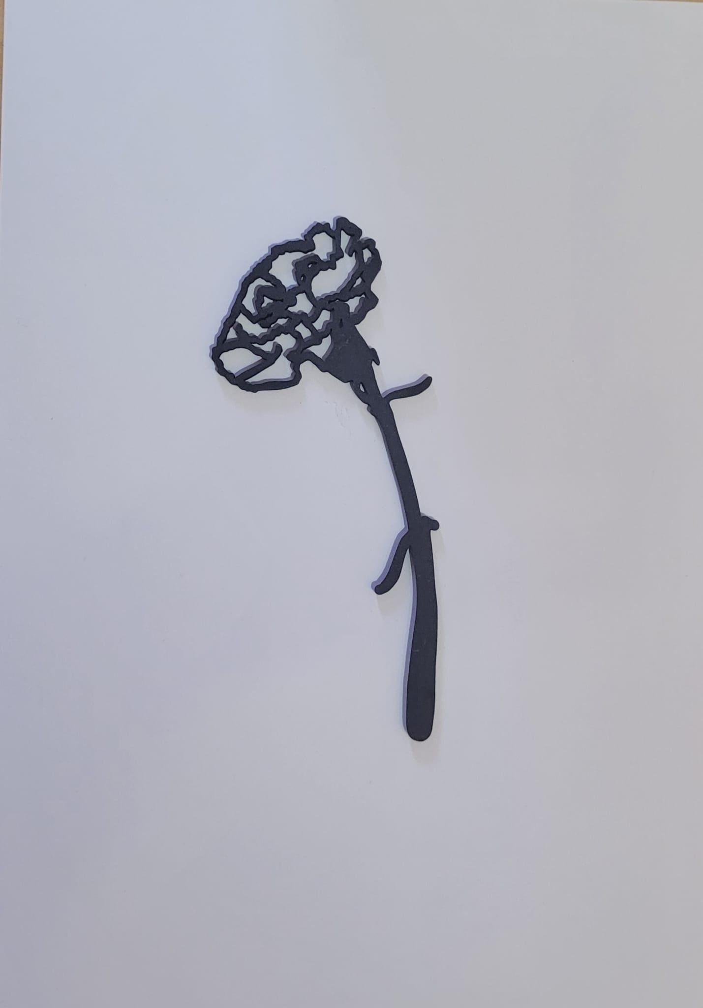 Geboortebloem - Januari (Anjer)