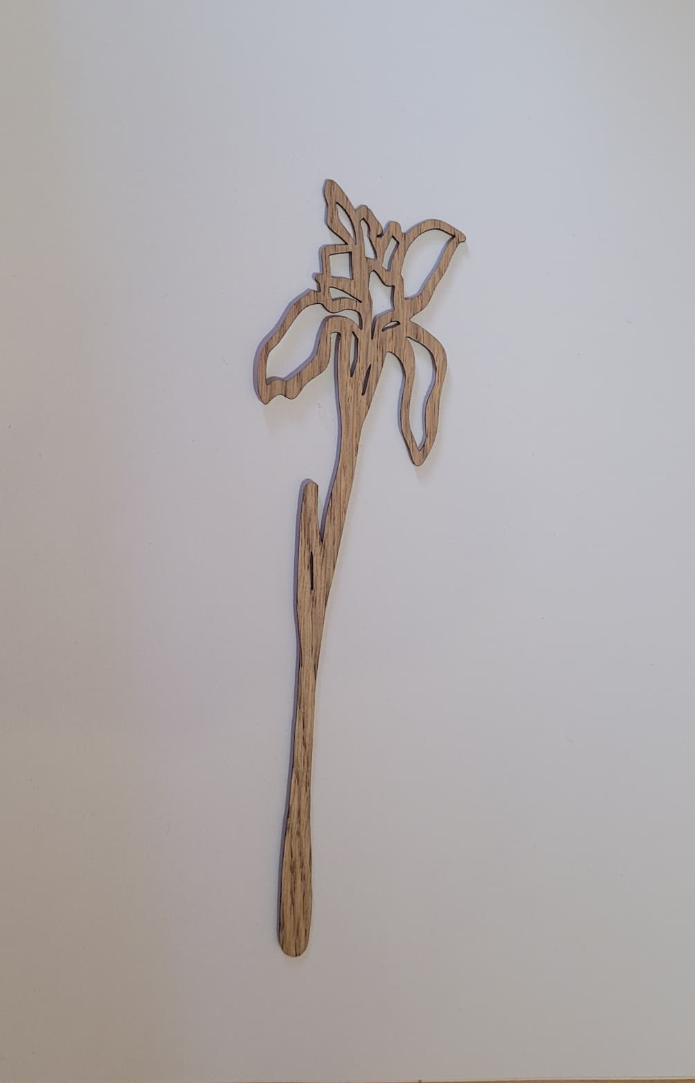 Geboortebloem - Februari (Iris)