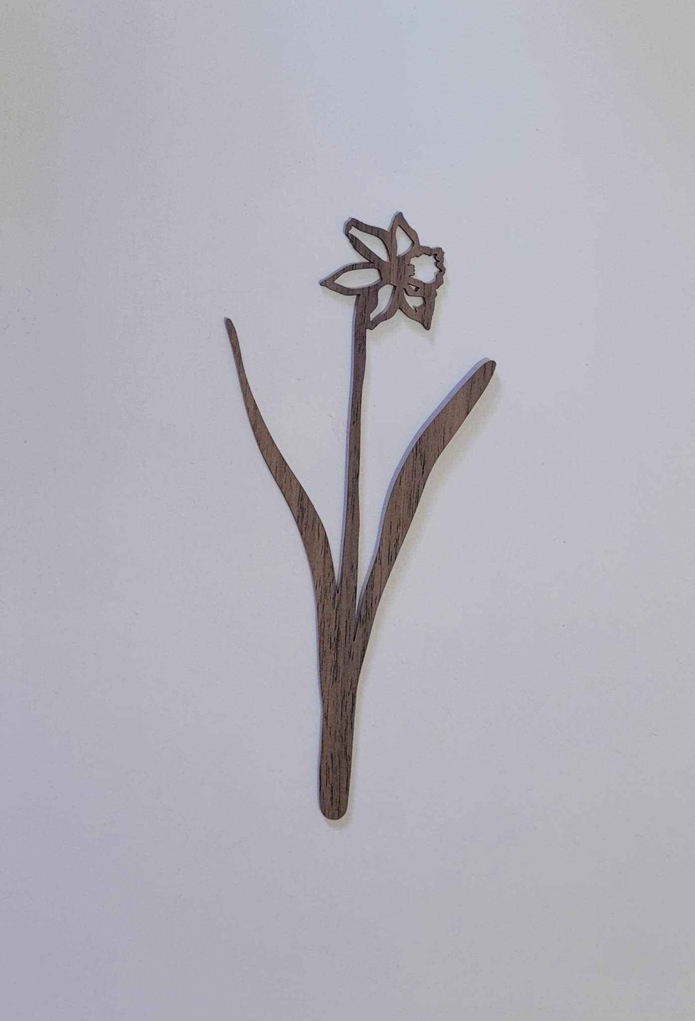 Geboortebloem - Maart (Narcis)