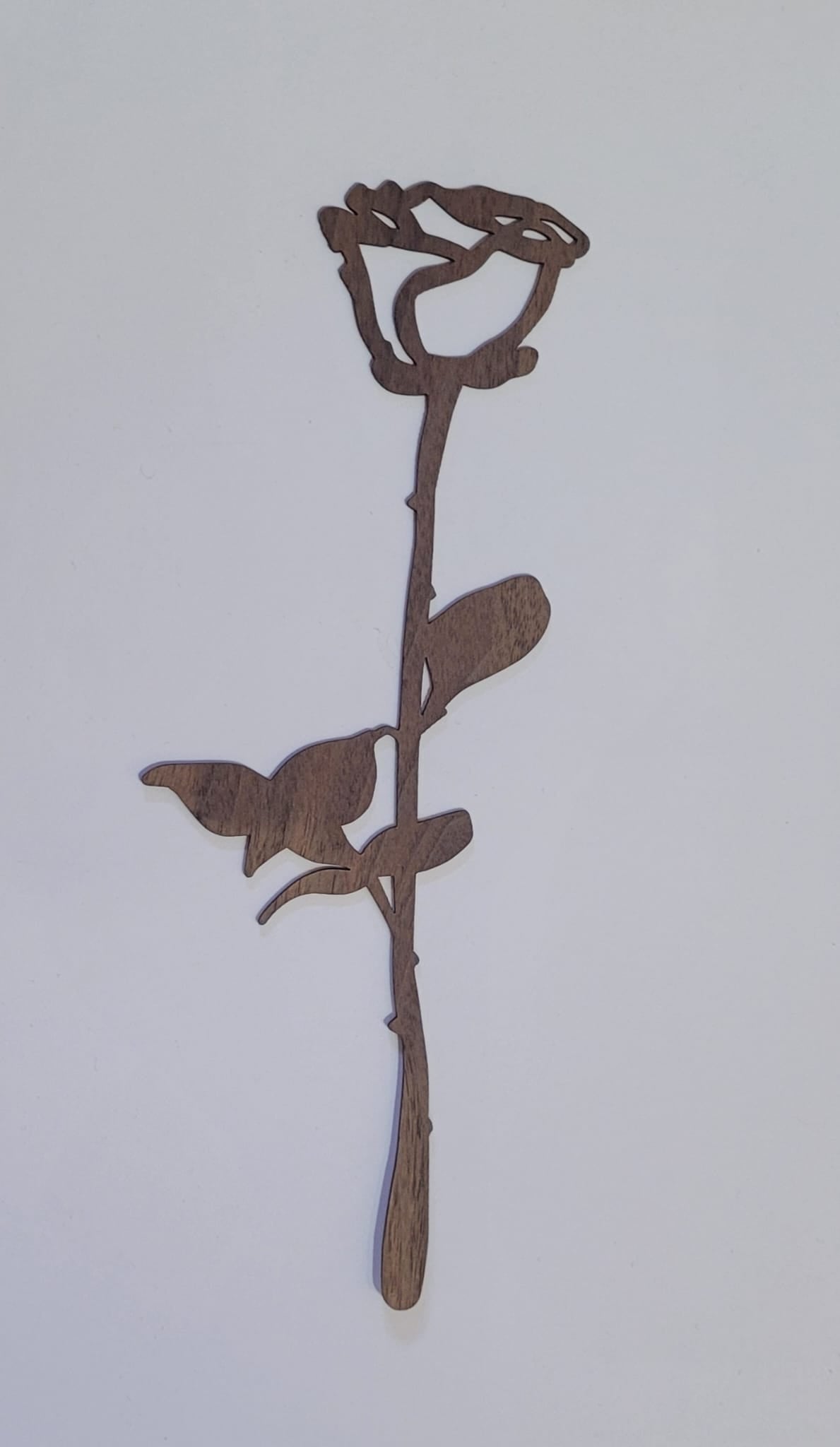 Geboortebloem - Juni (Roos)