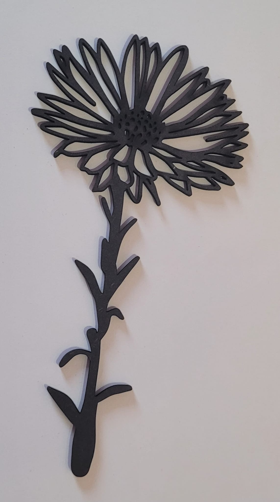 Geboortebloem - September (Aster)