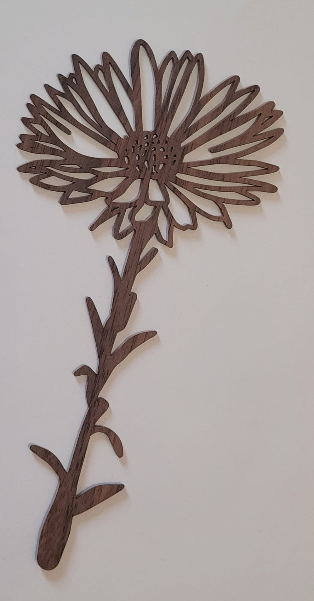 Geboortebloem - September (Aster)