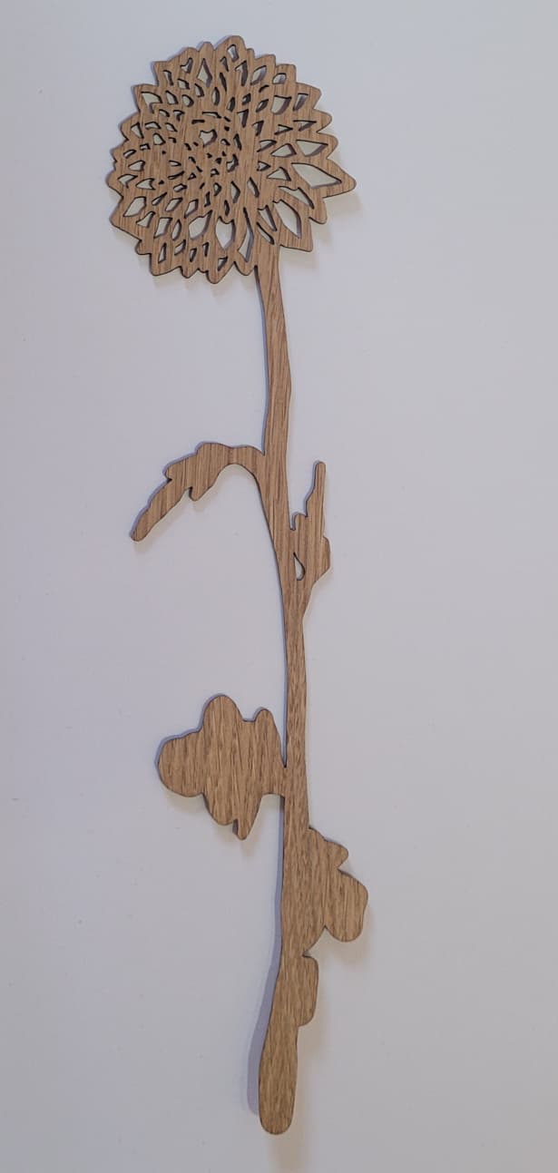 Geboortebloem - November (Chrysant)