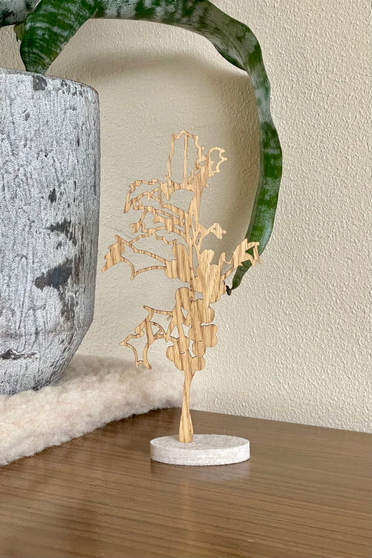 Geboortebloem - December (Hulst)