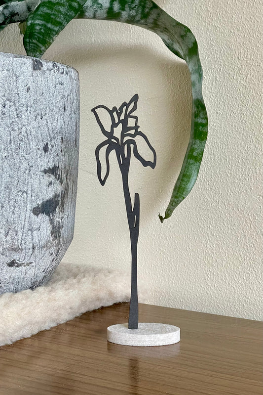 Geboortebloem - Februari (Iris)