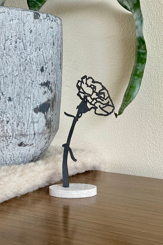 Geboortebloem - Januari (Anjer)