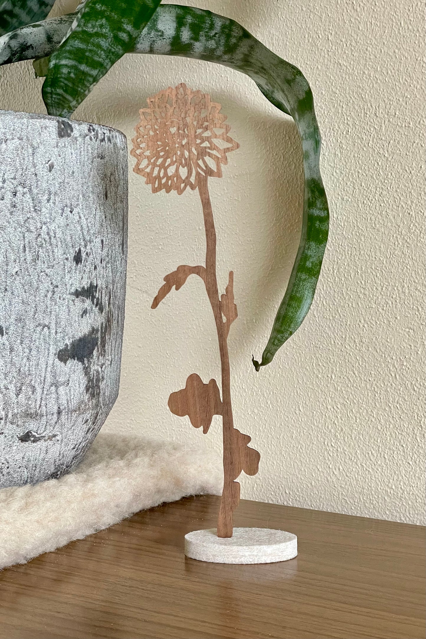 Geboortebloem - November (Chrysant)