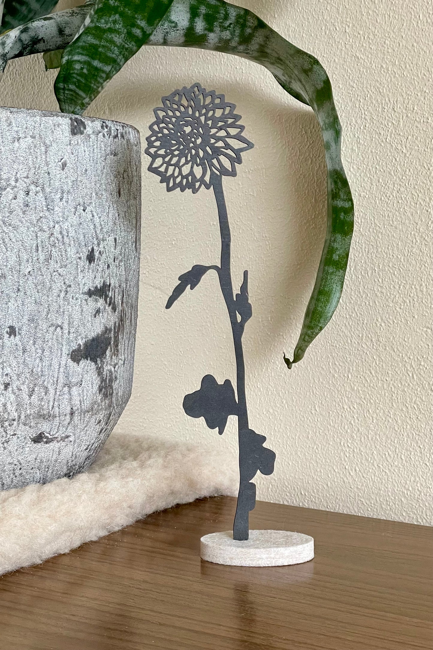 Geboortebloem - November (Chrysant)