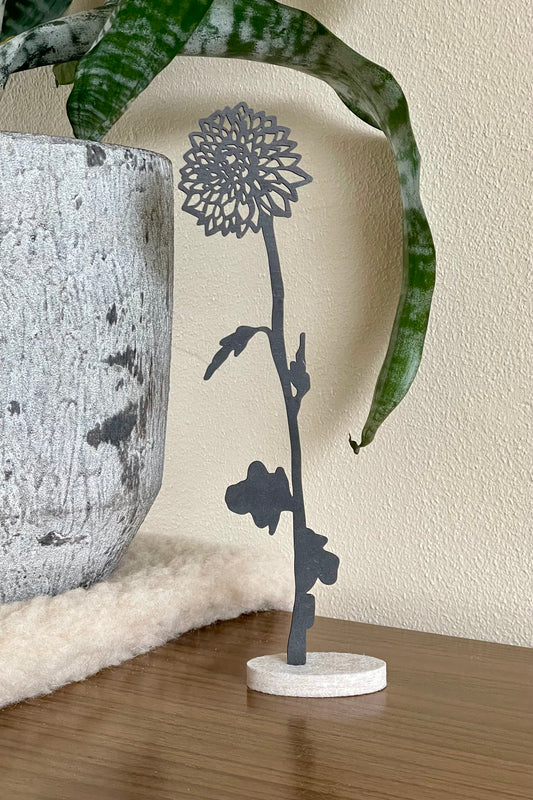 Geboortebloem - November (Chrysant)