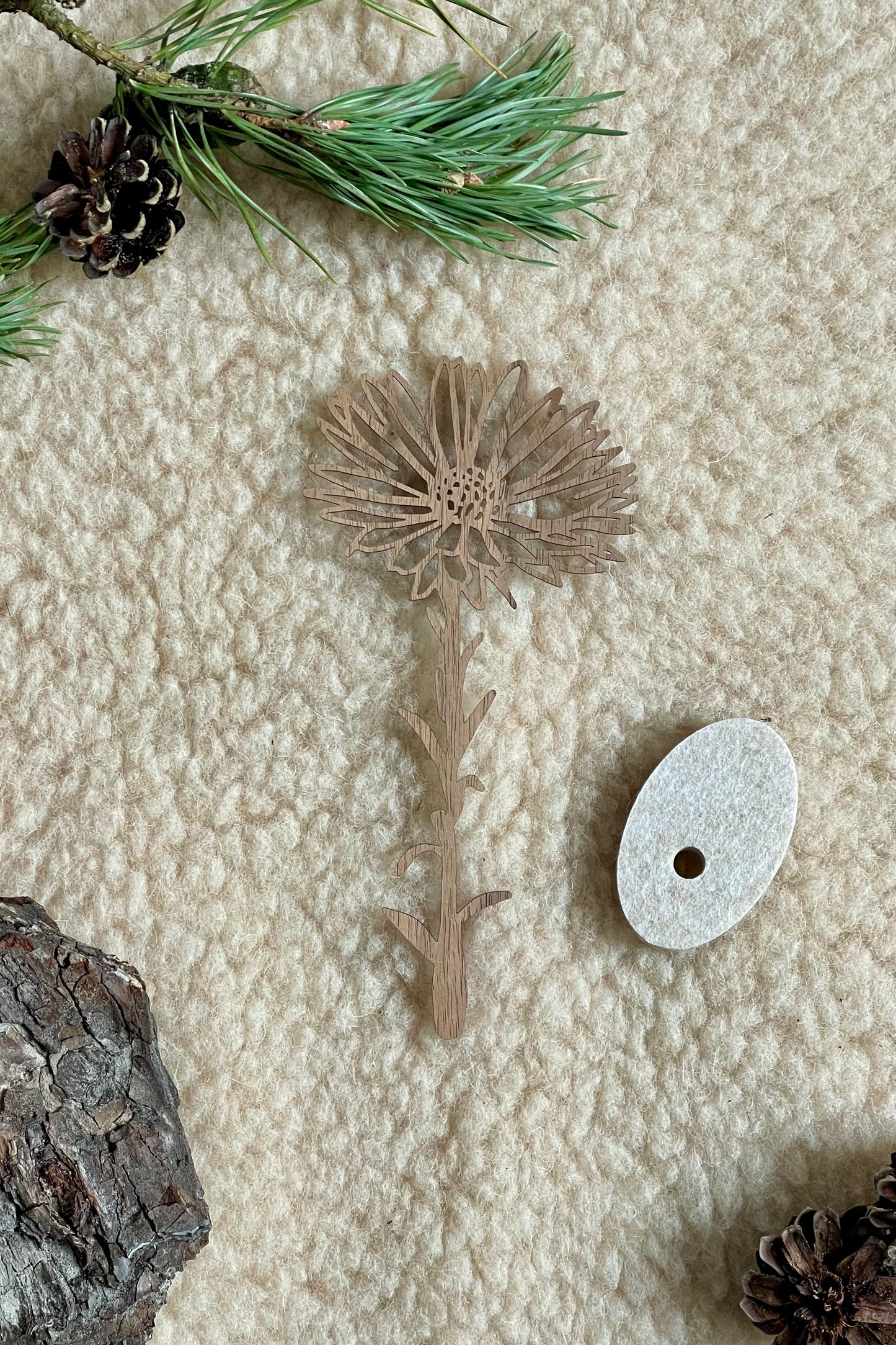 Geboortebloem - September (Aster)